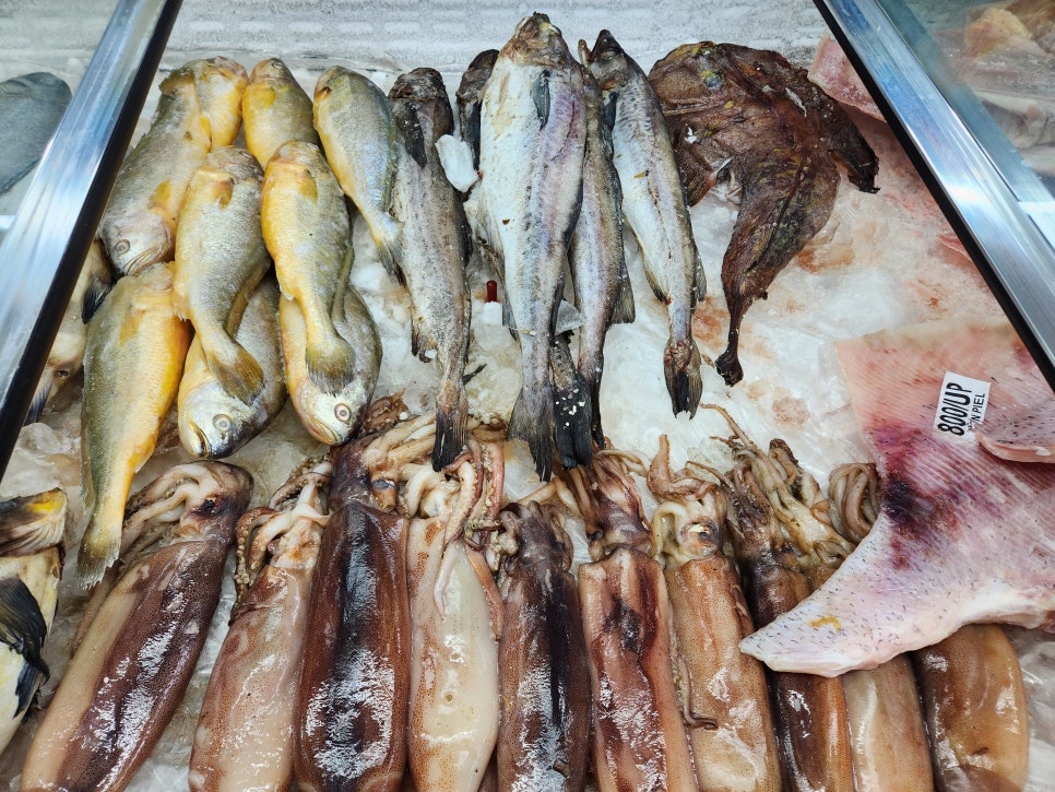 일구상회 이미지