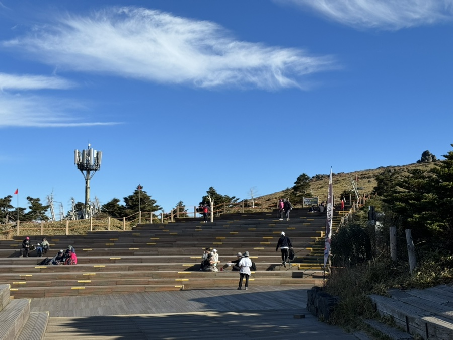 중문레지나김밥 이미지
