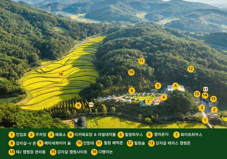 더힐링식물원야영장 이미지