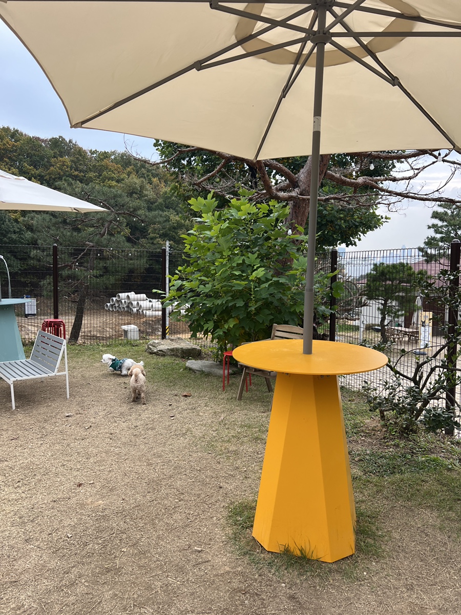 용인 애견동반 카페 테일45, 입장료와 메뉴 후기 — 사진 19