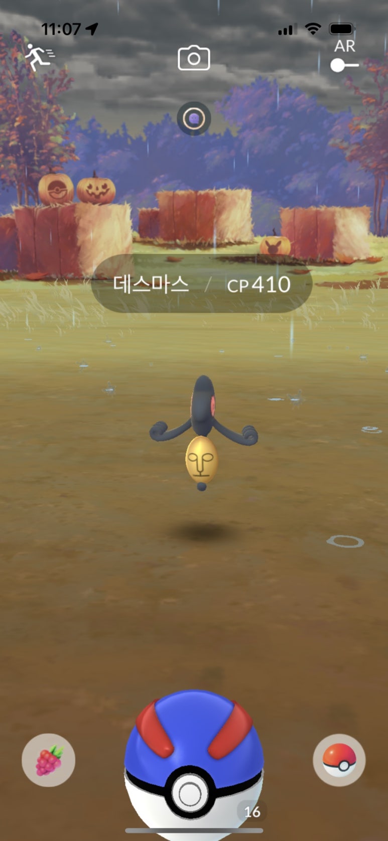 라데에스 이미지