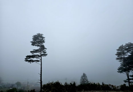 솔향민박 이미지