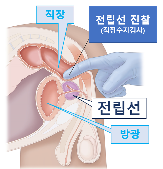 하이닥터 이미지