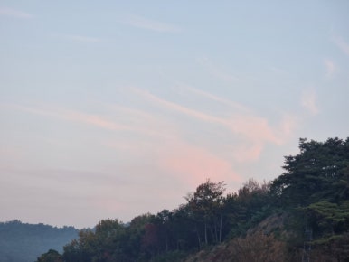 샘물농산 이미지