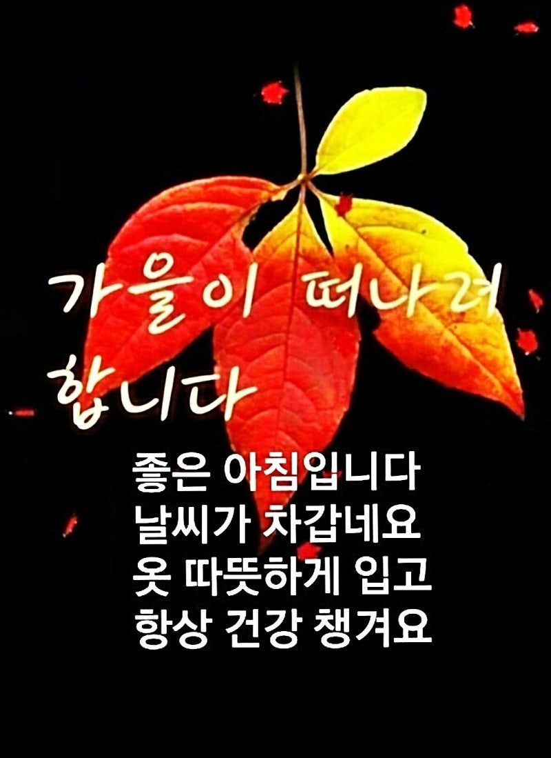 조은일 이미지