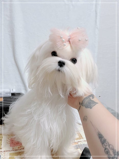 아리하우스 이미지