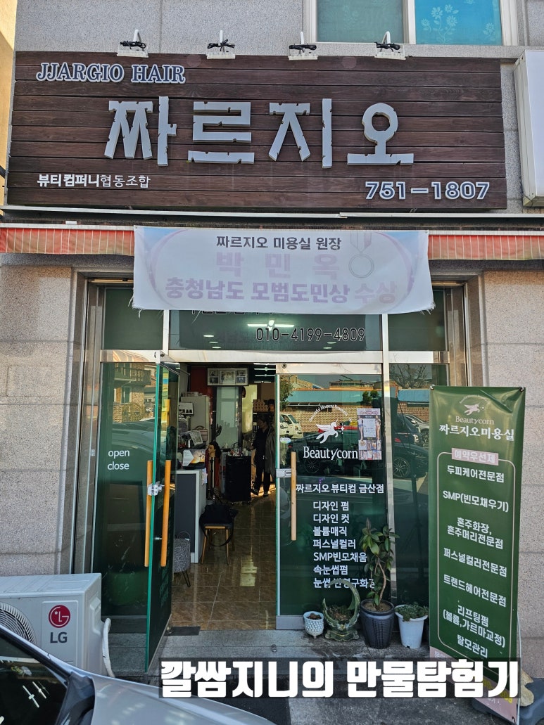 짜르지오 이미지