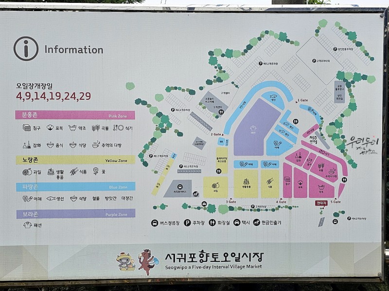세화민속오일시장 이미지