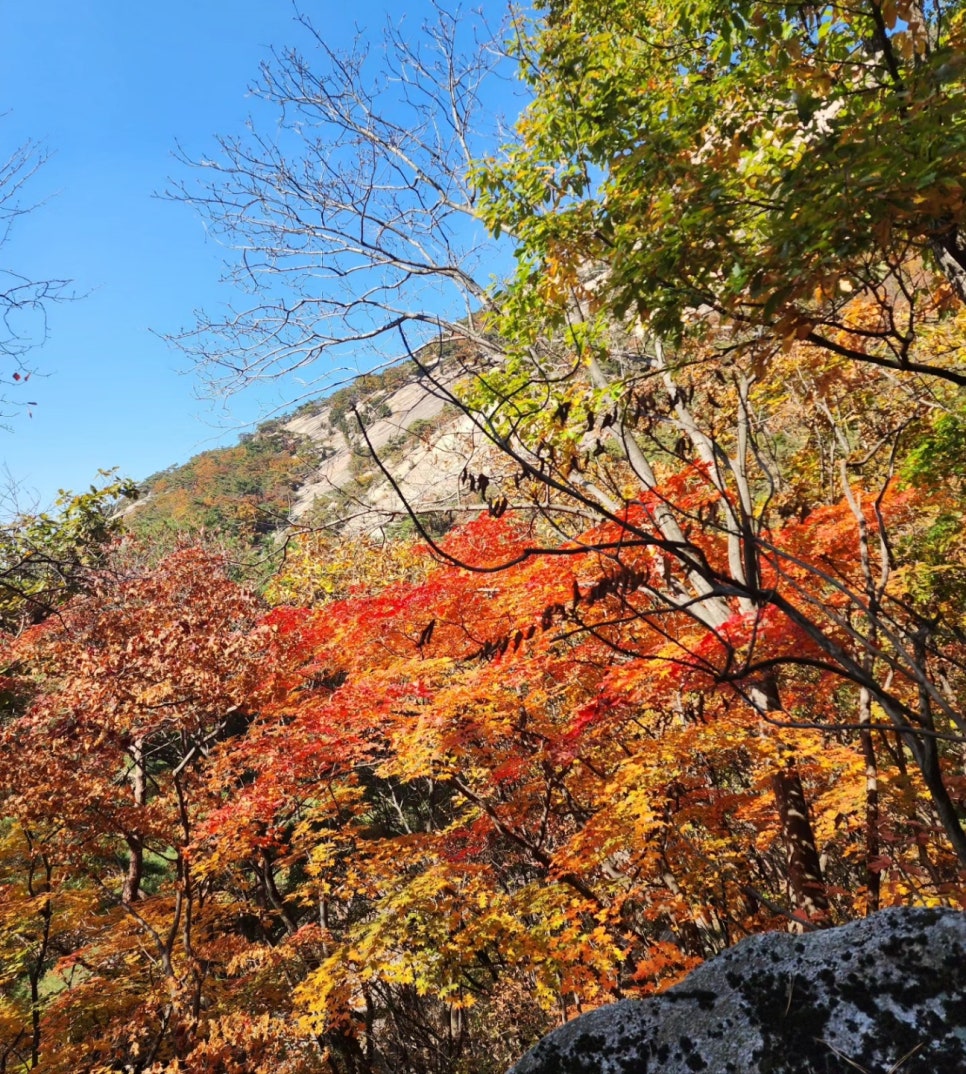 이루다행정사 이미지