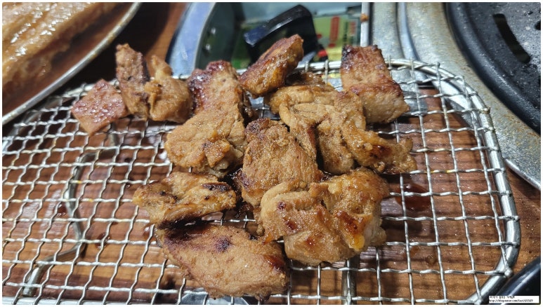 돼지공화국 사진 4
