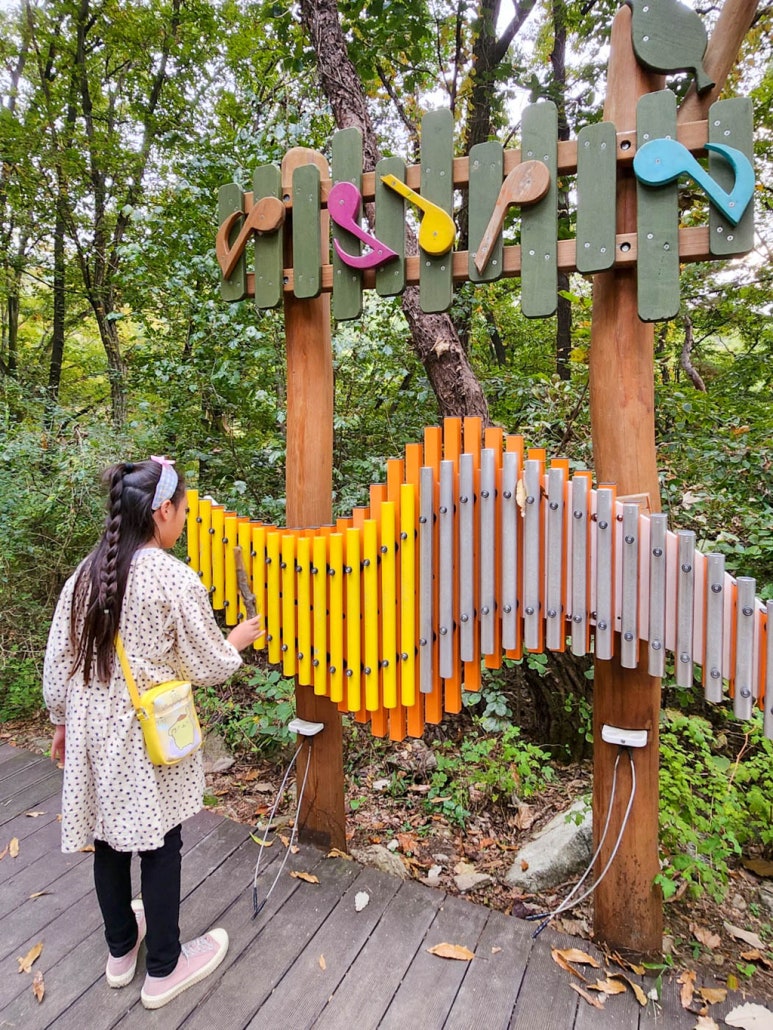 영림악기 이미지
