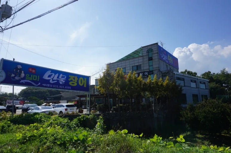 일미민물장어 이미지