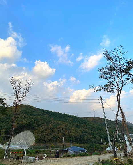 경주 캠핑573 이미지