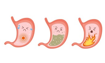 바디퍼포먼스짐 이미지