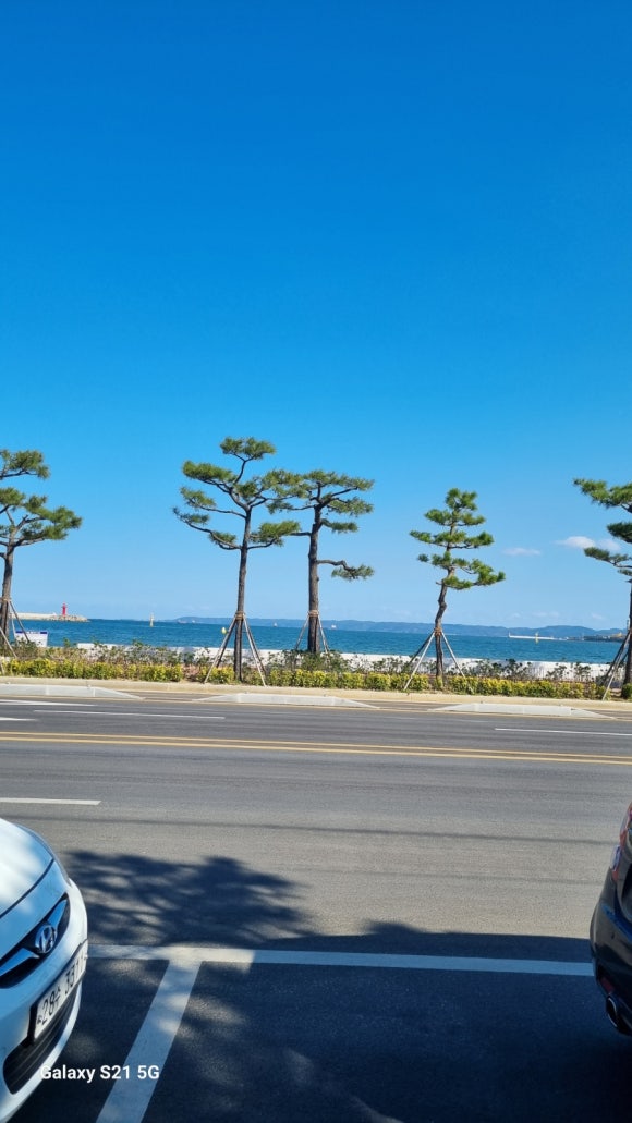 솔밭수상레저 이미지