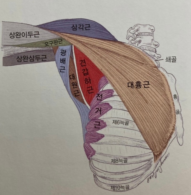 샌드피티 이미지