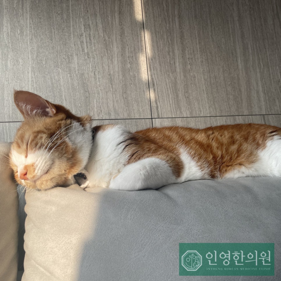 인영한의원 이미지