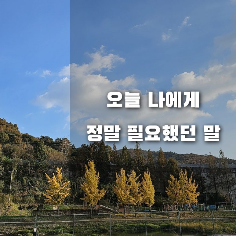 윙윙호프 이미지