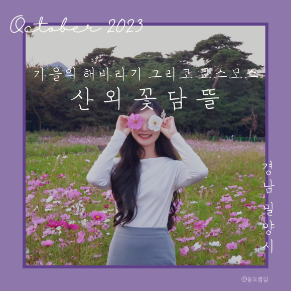꽃뜰여행 이미지