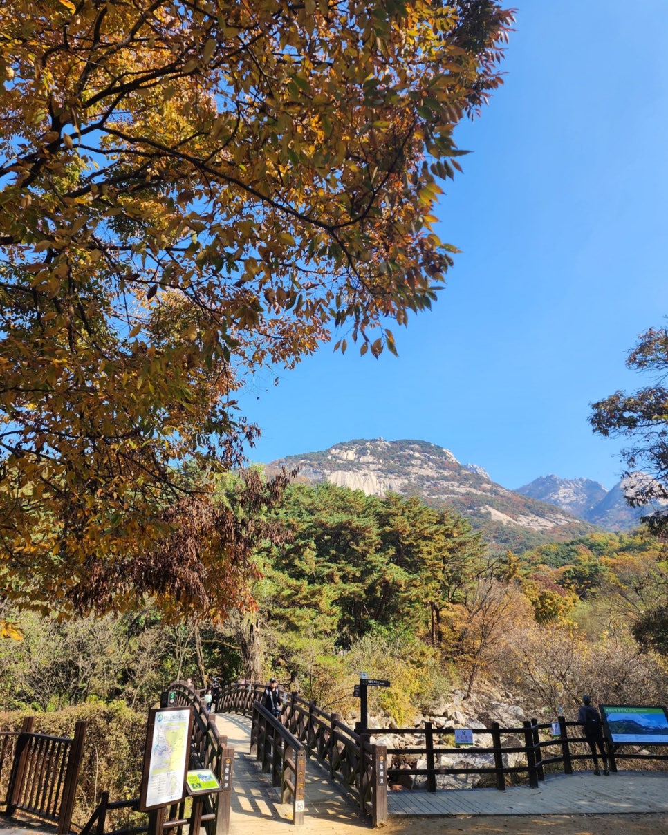 이루다행정사 이미지