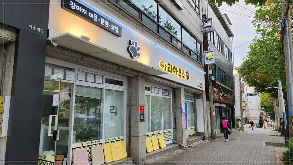 아리하우스 이미지