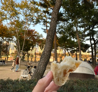 동촌상회 이미지