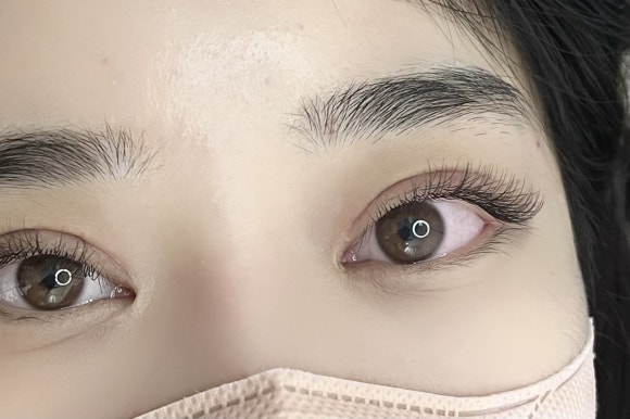 더렛빈 이미지