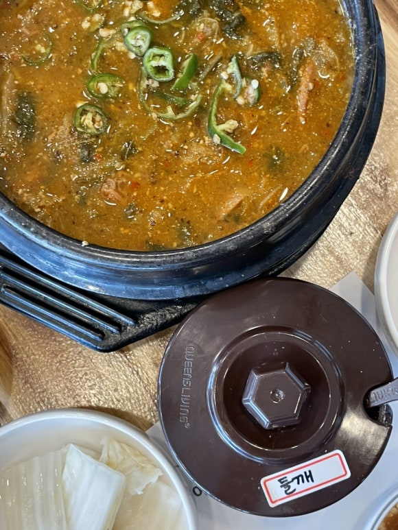 오리나무 사진 4