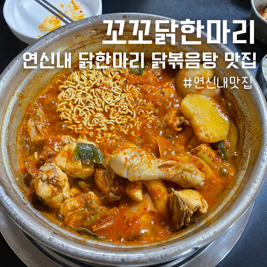 꼬꼬닭/안녕닭 이미지