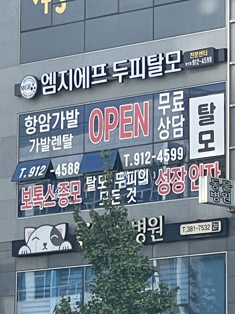 엠지에프두피탈모전문센터 이미지