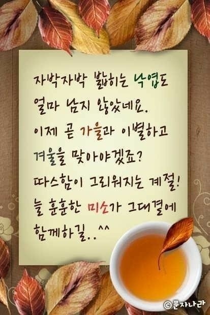 조은일 이미지