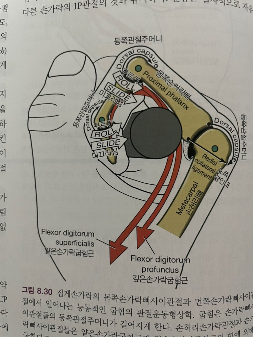 샌드피티 이미지