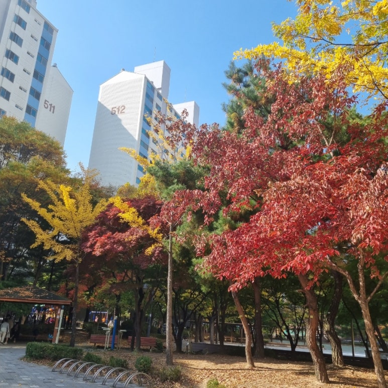 백암왕순대왕뼈감자탕 이미지