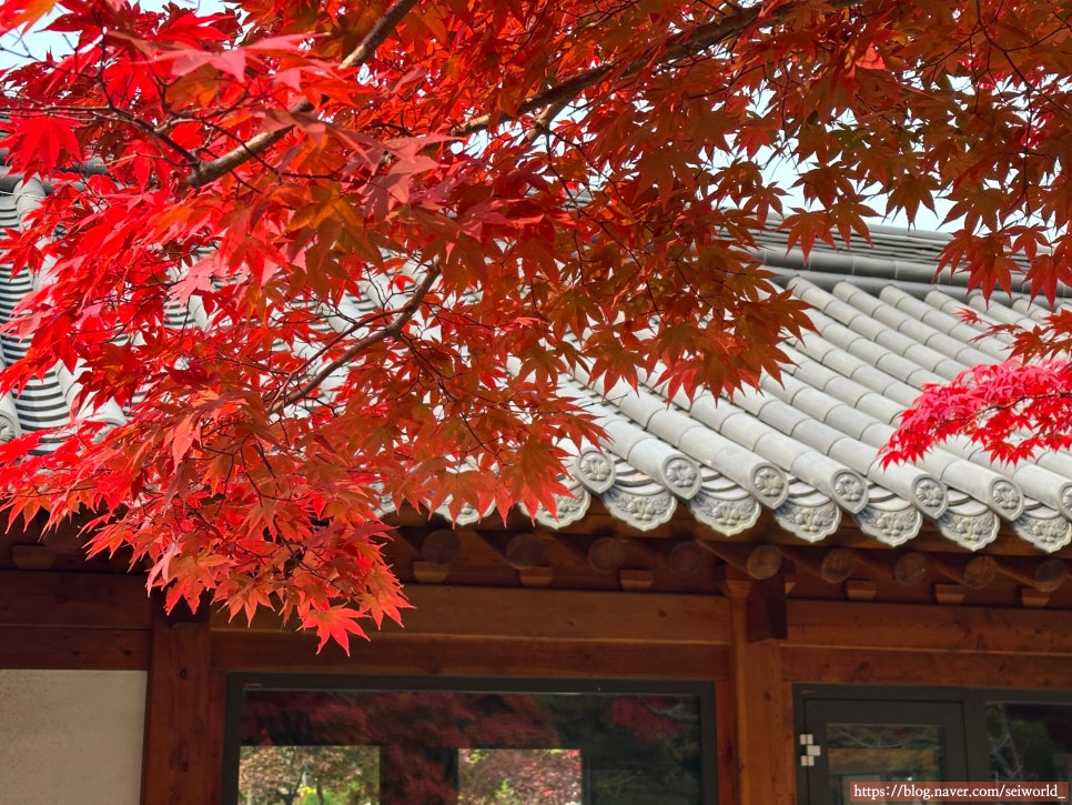 병천순대 광주식당 이미지