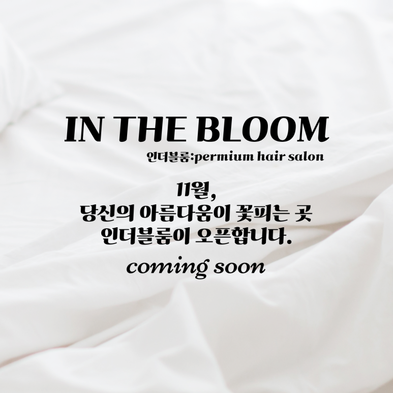 인더블룸 이미지