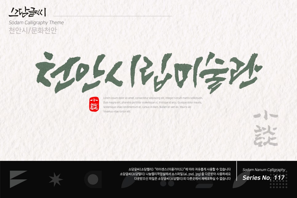 캘리스토리 이미지