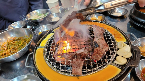 돗배갈매기 이미지