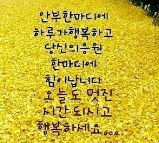 조은일 이미지