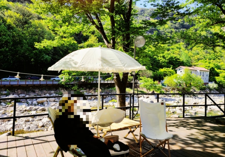 단양연화 이미지