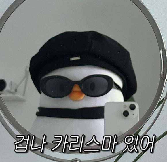비잉비잉 이미지