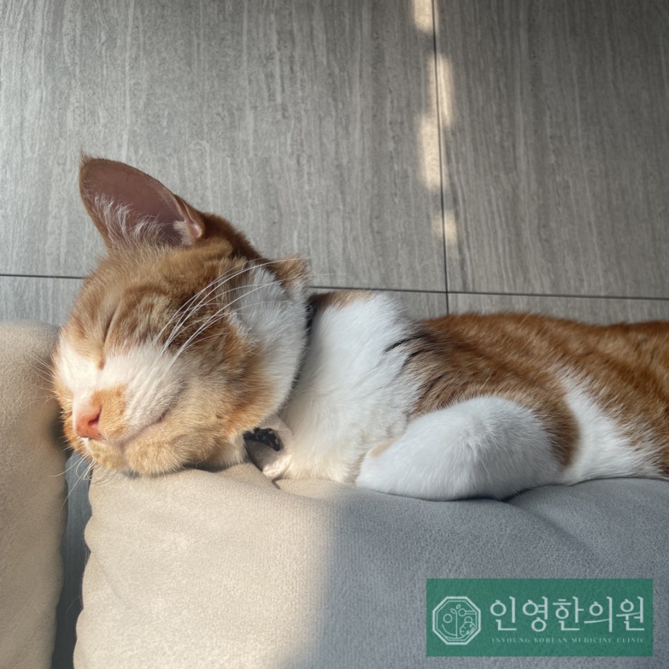 인영한의원 이미지