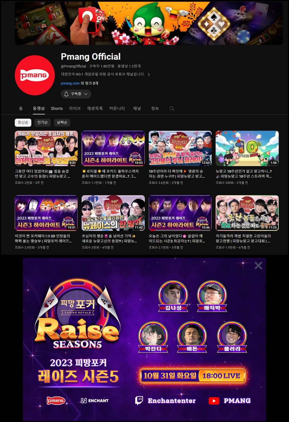 레이즈홀덤 이미지