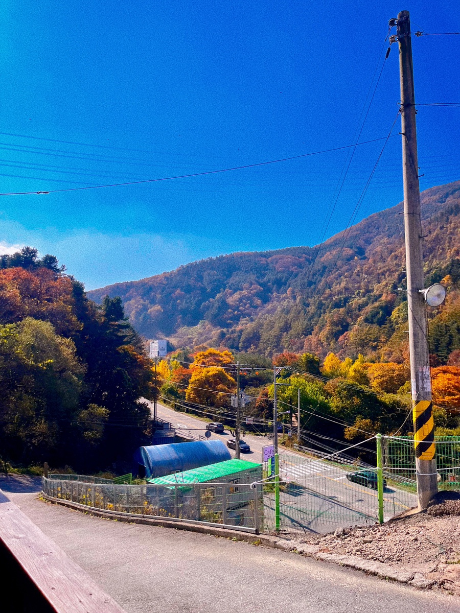 마더스베이커리 이미지