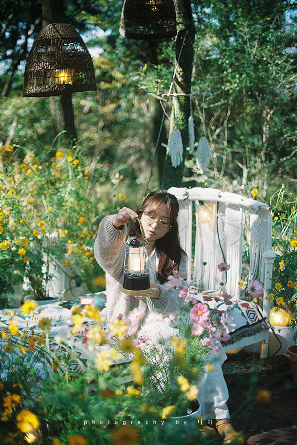너울숲 이미지