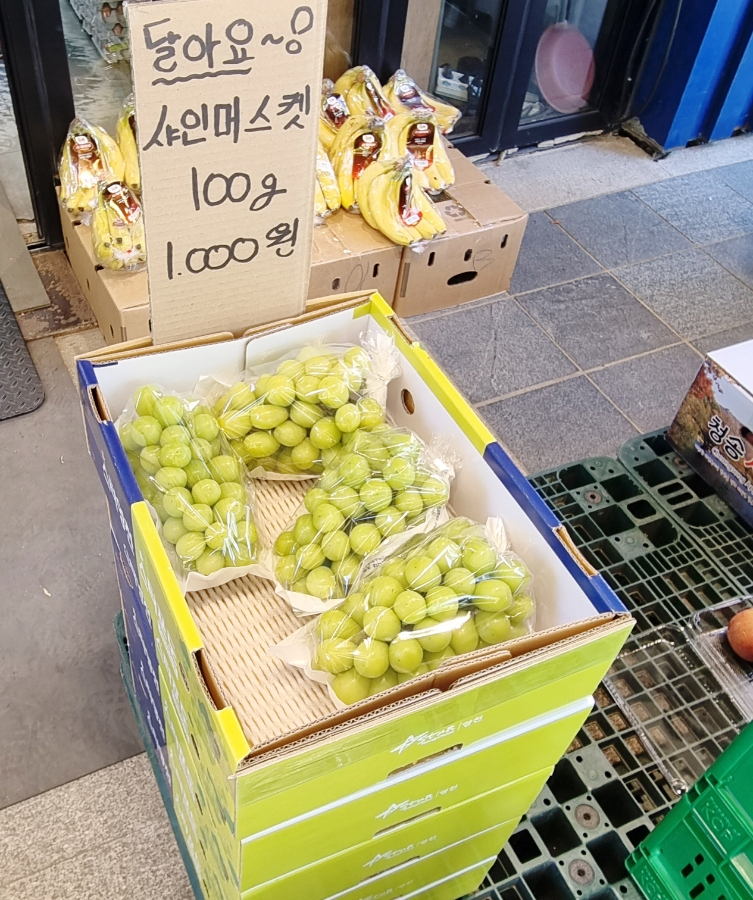 송이과일야채 이미지