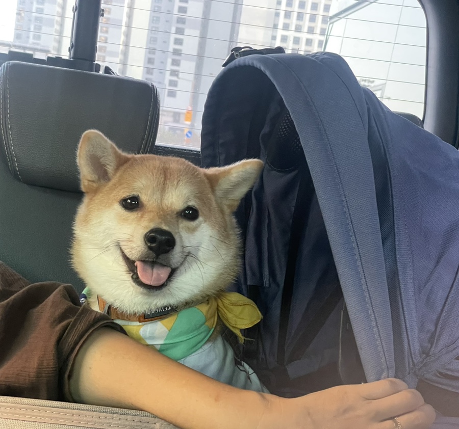 아이라이크씨 이미지