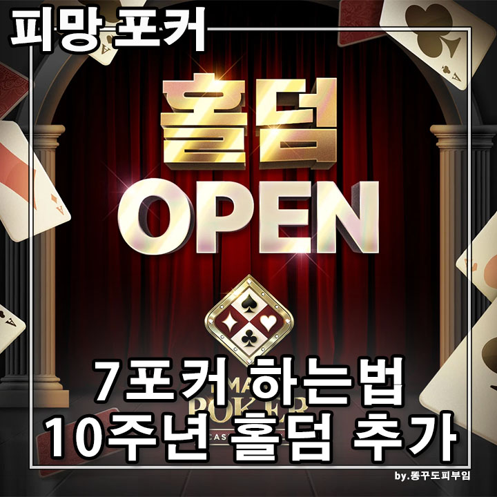 레이즈홀덤 이미지