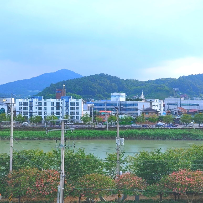 보성세탁소 이미지