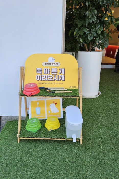 감성커피 용인외대점 이미지