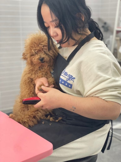 아리하우스 이미지